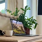 The Shades - Bliss In The Heart Of Casa de Férias