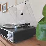 The Shades - Bliss In The Heart Of *