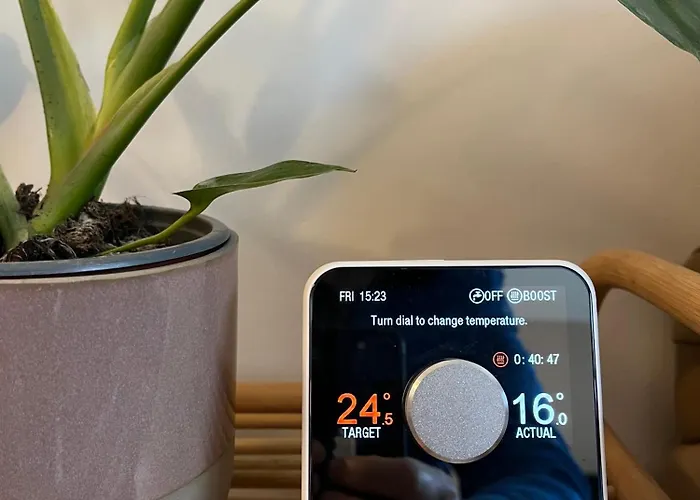 The Shades - Bliss In The Heart Of Windermere