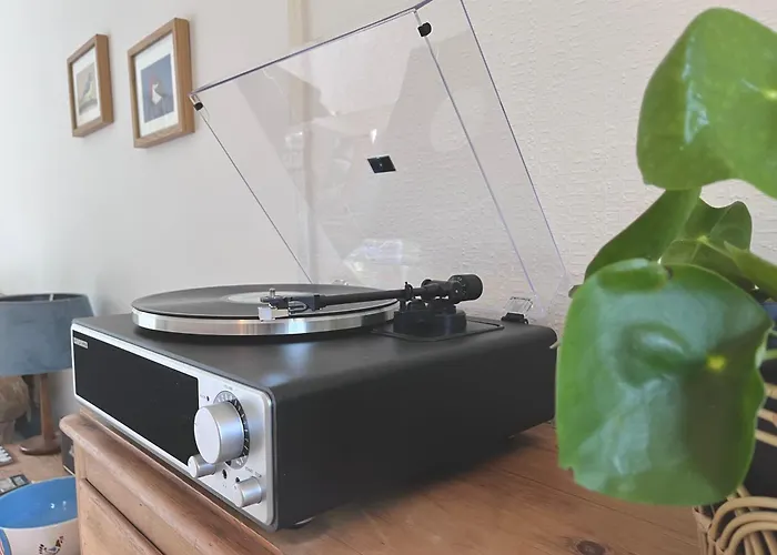 The Shades - Bliss In The Heart Of *